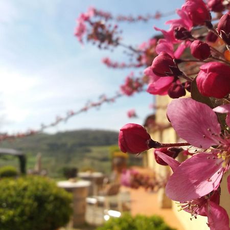 Relais Poggio Borgoni Villa San Casciano in Val di Pesa Exterior photo