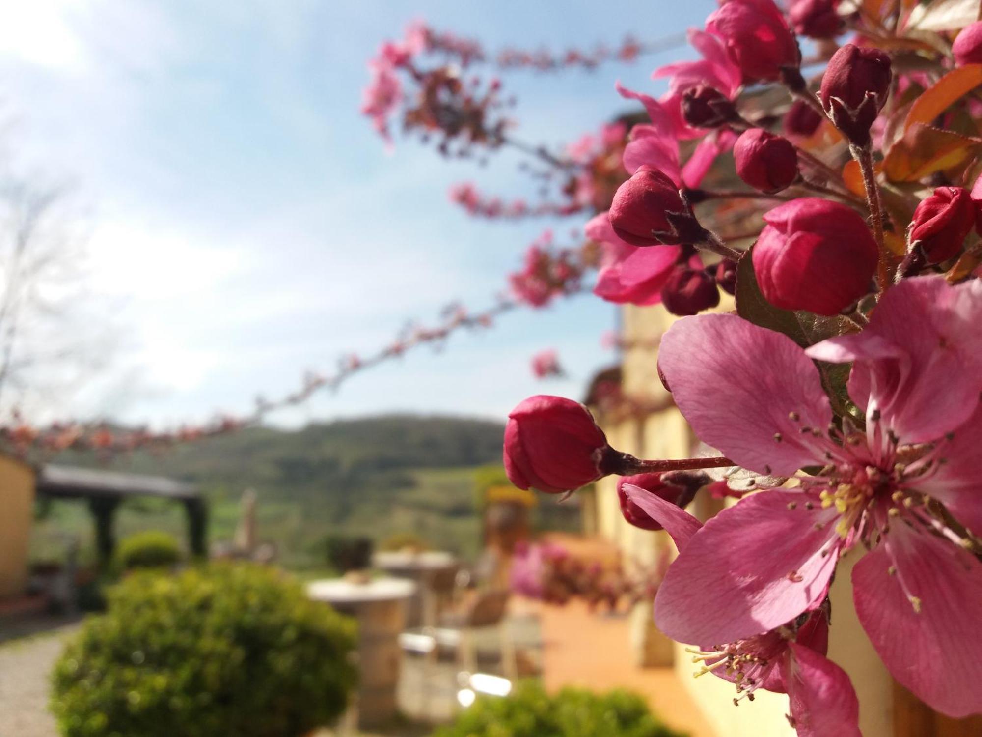 Relais Poggio Borgoni Villa San Casciano in Val di Pesa Exterior photo